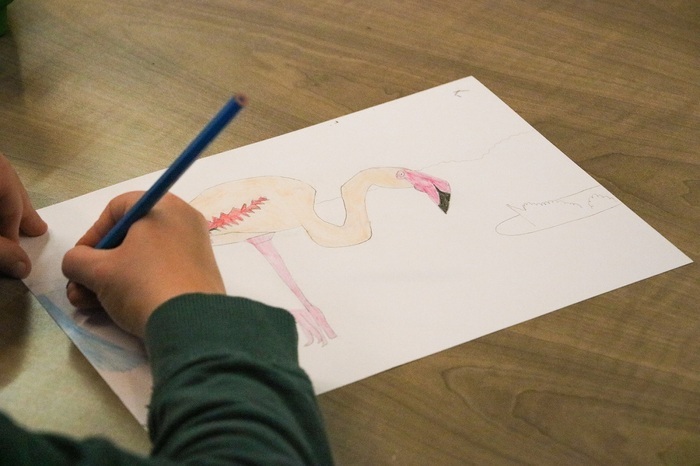 Atelier Dessin (7-12 ans)